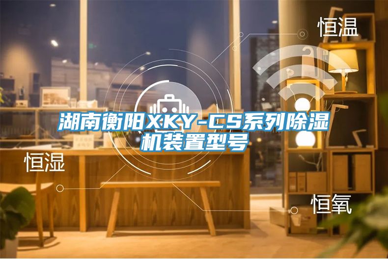 湖南衡阳XKY-CS系列91香蕉视频下载网站装置型号