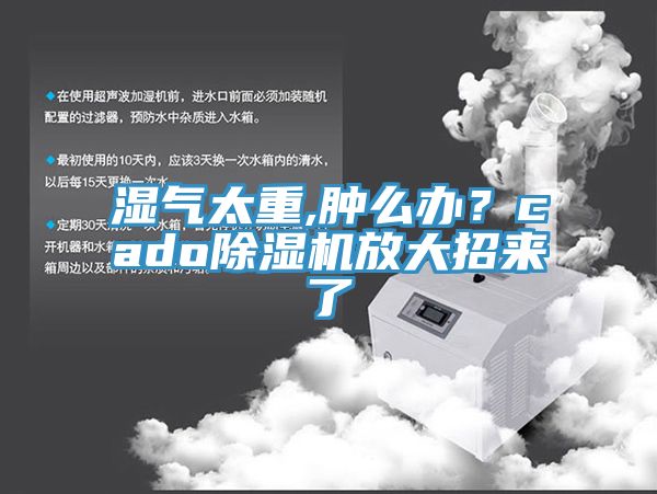 湿气太重,肿么办？cado91香蕉视频下载网站放大招来了