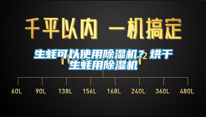 生蚝可以使用91香蕉视频下载网站？烘干生蚝用91香蕉视频下载网站