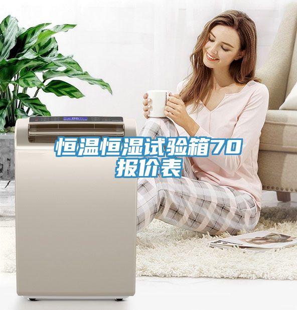 恒温恒湿试验箱70℃报价表