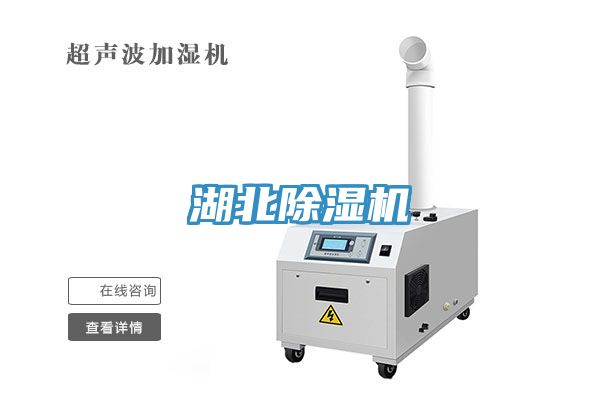 湖北91香蕉视频下载网站