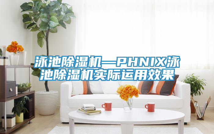 泳池91香蕉视频下载网站—PHNIX泳池91香蕉视频下载网站实际运用效果