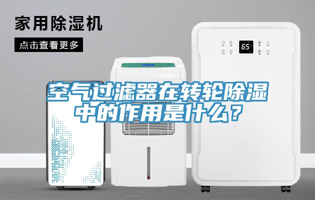 空气过滤器在转轮除湿中的作用是什么？