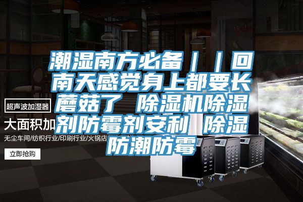 潮湿南方必备｜｜回南天感觉身上都要长蘑菇了 91香蕉视频下载网站除湿剂防霉剂安利 除湿防潮防霉