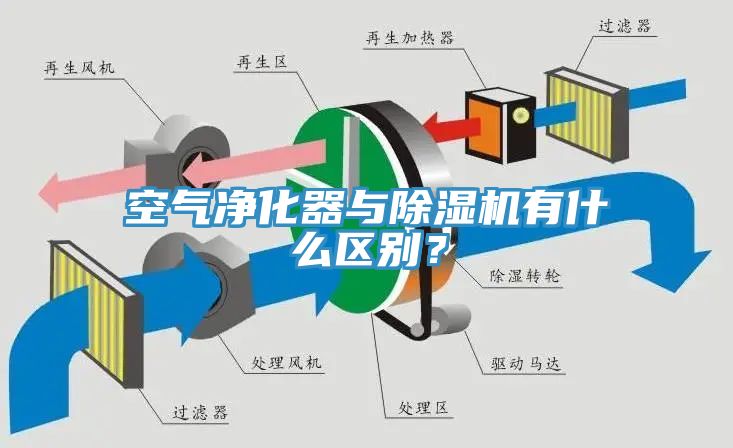 空气净化器与91香蕉视频下载网站有什么区别？