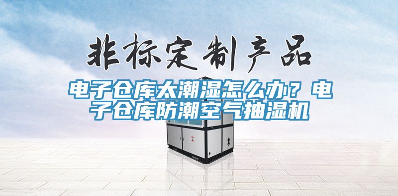 电子仓库太潮湿怎么办？电子仓库防潮空气抽湿机