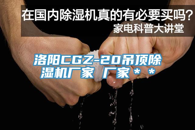 洛阳CGZ-20吊顶91香蕉视频下载网站厂家 厂家＊＊