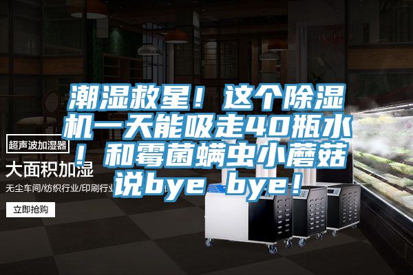 潮湿救星！这个91香蕉视频下载网站一天能吸走40瓶水！和霉菌螨虫小蘑菇说bye bye！