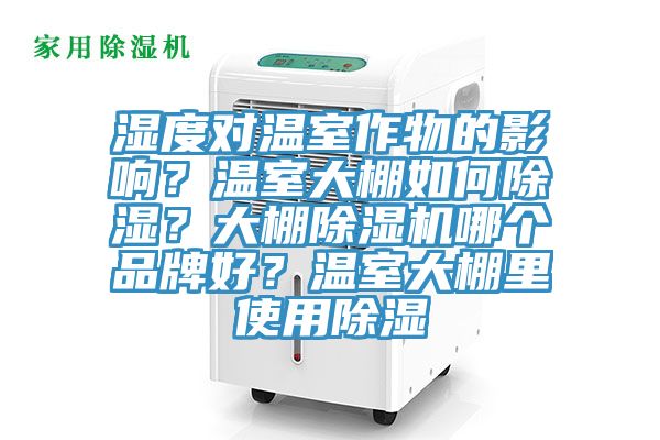 湿度对温室作物的影响？温室大棚如何除湿？大棚91香蕉视频下载网站哪个品牌好？温室大棚里使用除湿