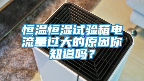 恒温恒湿试验箱电流量过大的原因你知道吗？