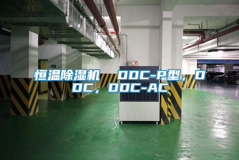 恒温91香蕉视频下载网站  DDC-P型，DDC，DDC-AC