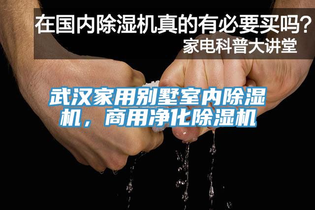 武汉家用别墅室内91香蕉视频下载网站，商用净化91香蕉视频下载网站