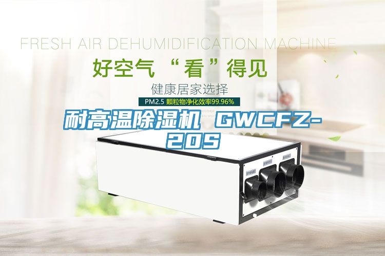 耐高温91香蕉视频下载网站 GWCFZ-20S