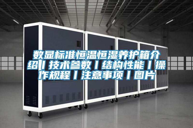 数显标准恒温恒湿养护箱介绍丨技术参数丨结构性能丨操作规程丨注意事项丨图片