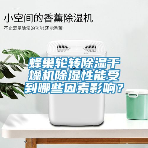 蜂巢轮转除湿干燥机除湿性能受到哪些因素影响？