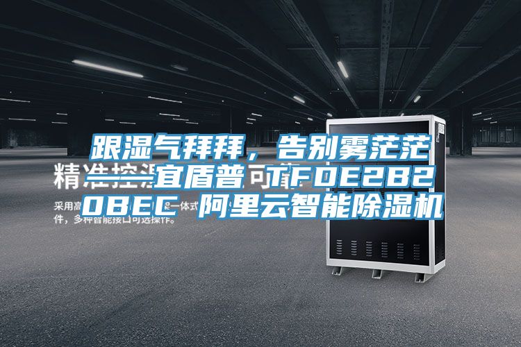 跟湿气拜拜，告别雾茫茫——宜盾普 TFDE2B20BEC 阿里云智能91香蕉视频下载网站