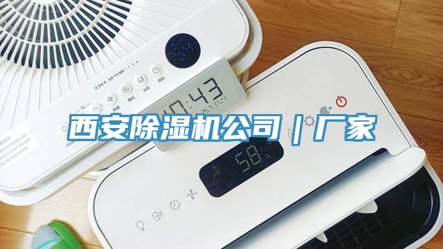 西安91香蕉视频下载网站公司｜厂家