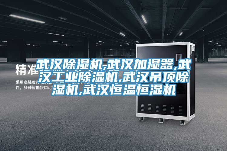 武汉91香蕉视频下载网站,武汉加湿器,武汉工业91香蕉视频下载网站,武汉吊顶91香蕉视频下载网站,武汉恒温恒湿机