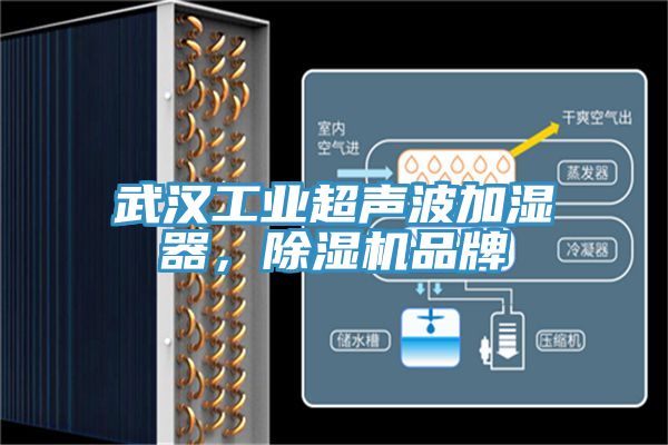 武汉工业超声波加湿器，91香蕉视频下载网站品牌