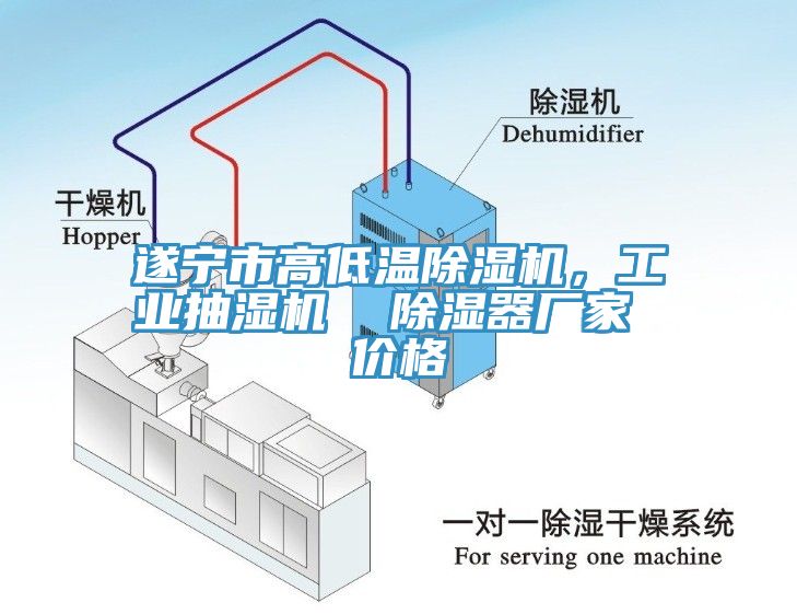 遂宁市高低温91香蕉视频下载网站，工业抽湿机  除湿器厂家 价格