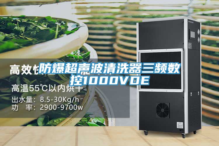 防爆超声波清洗器三频数控1000VDE