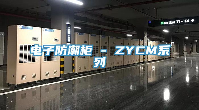 电子防潮柜 - ZYCM系列