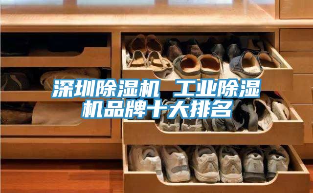 深圳91香蕉视频下载网站 工业91香蕉视频下载网站品牌十大排名