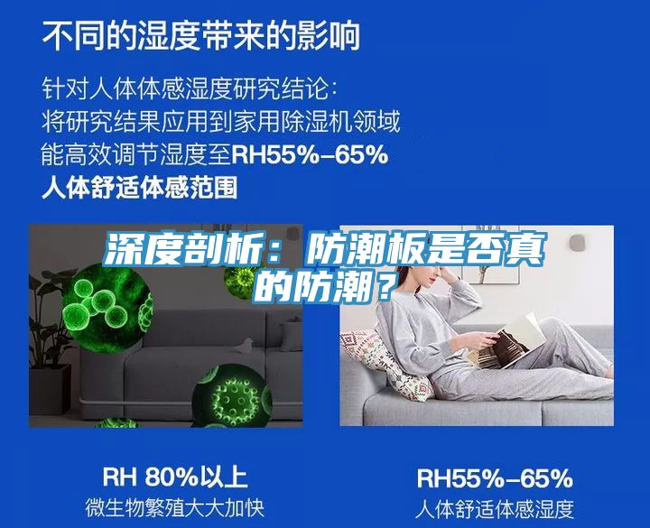 深度剖析：防潮板是否真的防潮？