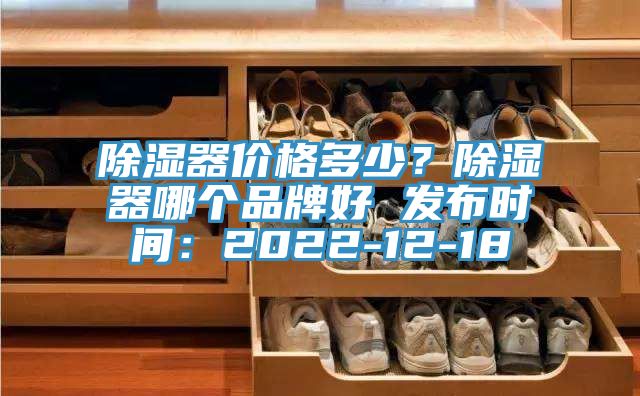 除湿器价格多少？除湿器哪个品牌好 发布时间：2022-12-18