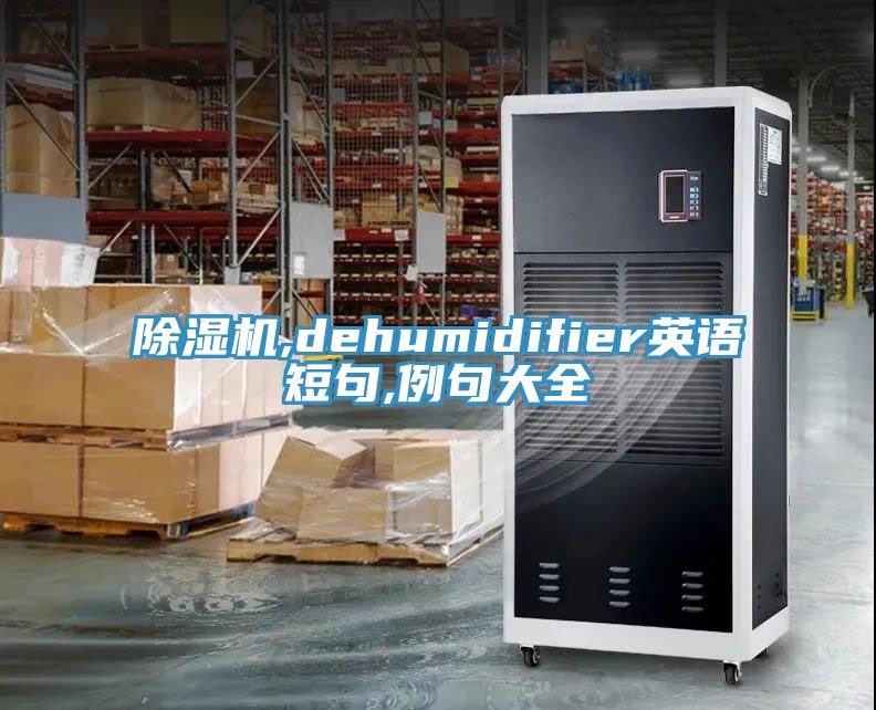 91香蕉视频下载网站,dehumidifier英语短句,例句大全