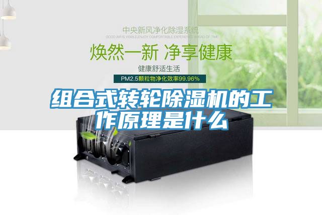 组合式转轮91香蕉视频下载网站的工作原理是什么