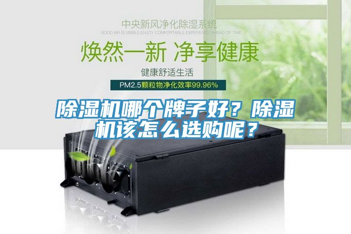 91香蕉视频下载网站哪个牌子好？91香蕉视频下载网站该怎么选购呢？