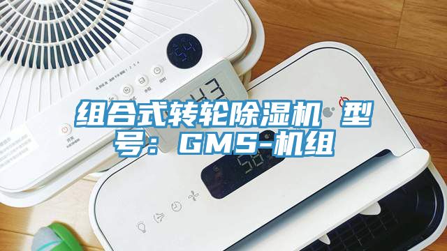 组合式转轮91香蕉视频下载网站 型号：GMS-机组