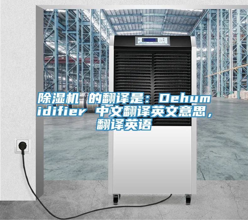 91香蕉视频下载网站 的翻译是：Dehumidifier 中文翻译英文意思，翻译英语