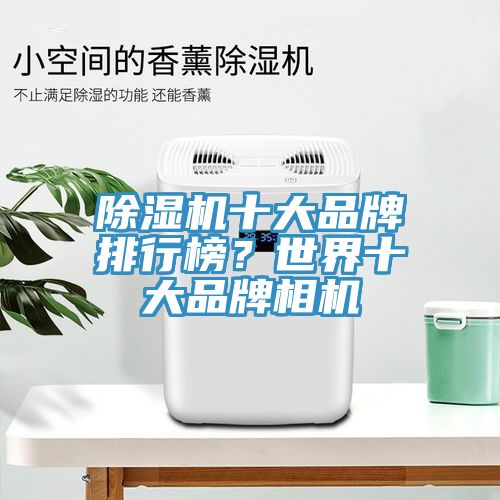 91香蕉视频下载网站十大品牌排行榜？世界十大品牌相机