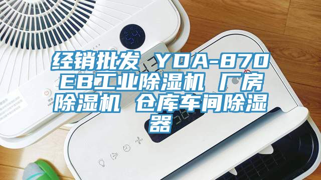 经销批发 YDA-870EB工业91香蕉视频下载网站 厂房91香蕉视频下载网站 仓库车间除湿器