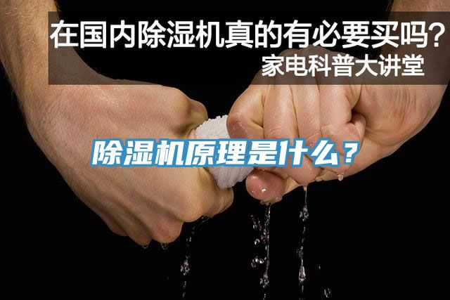 91香蕉视频下载网站原理是什么？