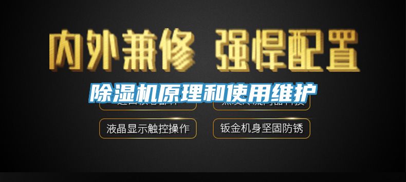 91香蕉视频下载网站原理和使用维护