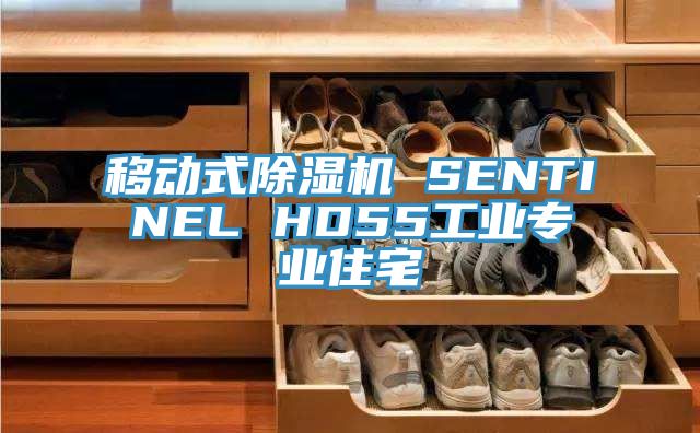 移动式91香蕉视频下载网站 SENTINEL HD55工业专业住宅