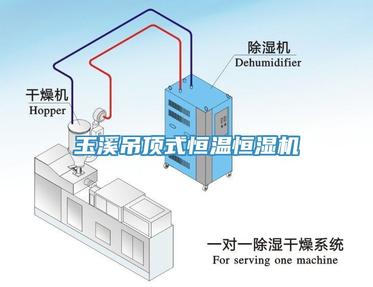 玉溪吊顶式恒温恒湿机