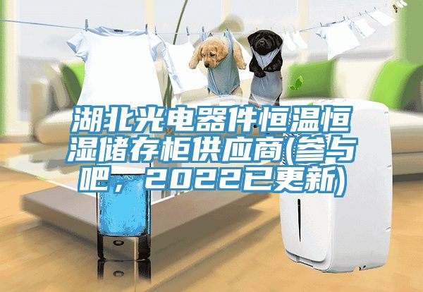 湖北光电器件恒温恒湿储存柜供应商(参与吧，2022已更新)