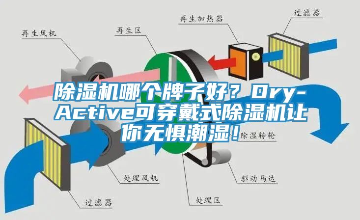 91香蕉视频下载网站哪个牌子好？Dry-Active可穿戴式91香蕉视频下载网站让你无惧潮湿！