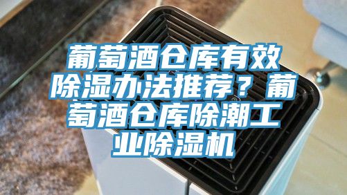 葡萄酒仓库有效除湿办法推荐？葡萄酒仓库除潮工业91香蕉视频下载网站