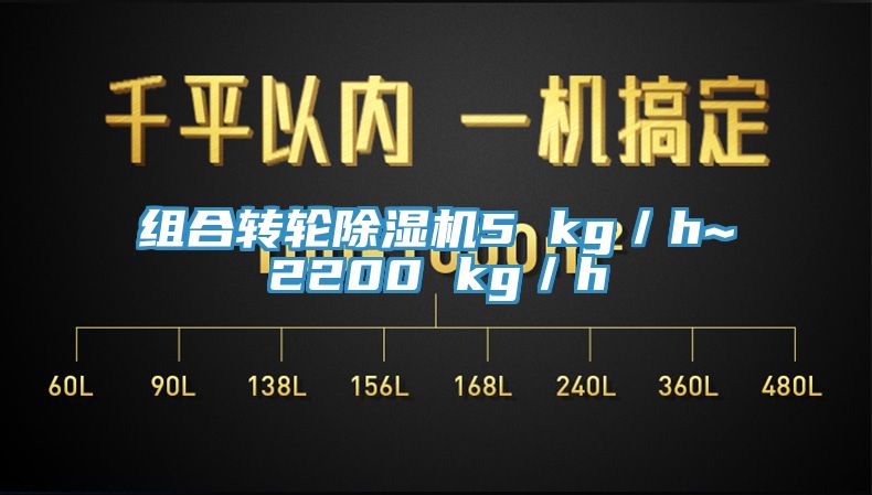 组合转轮91香蕉视频下载网站5 kg／h~2200 kg／h