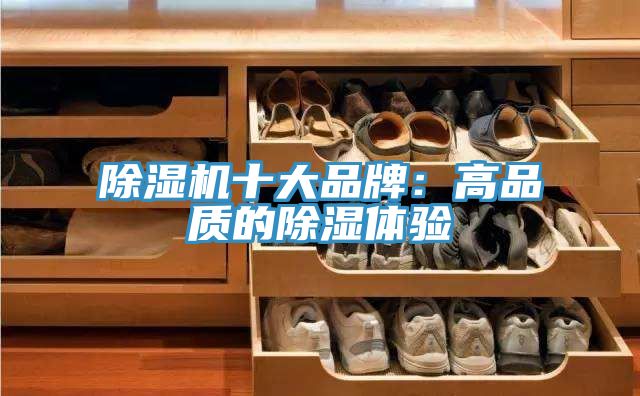 91香蕉视频下载网站十大品牌：高品质的除湿体验