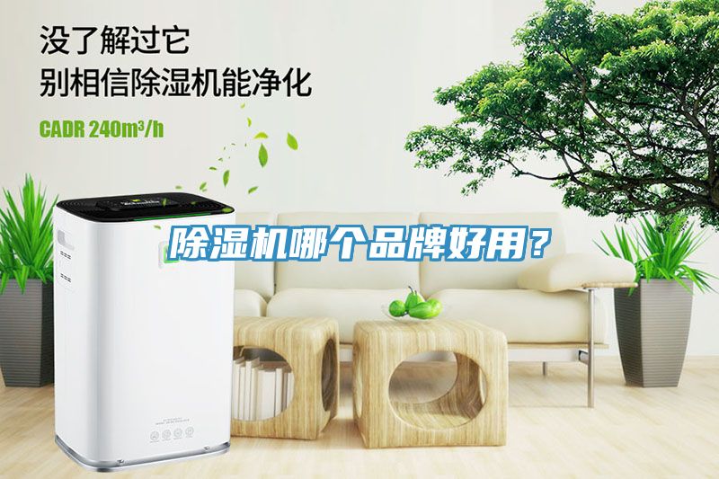 91香蕉视频下载网站哪个品牌好用？