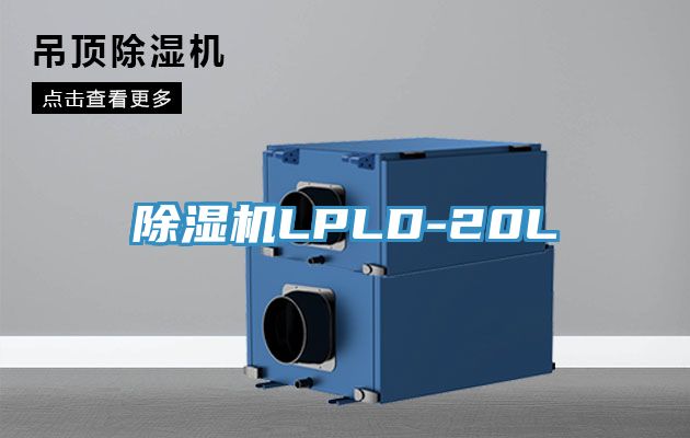 91香蕉视频下载网站LPLD-20L