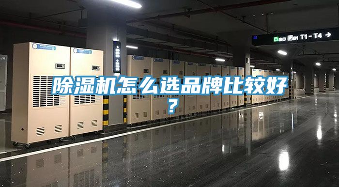 91香蕉视频下载网站怎么选品牌比较好？