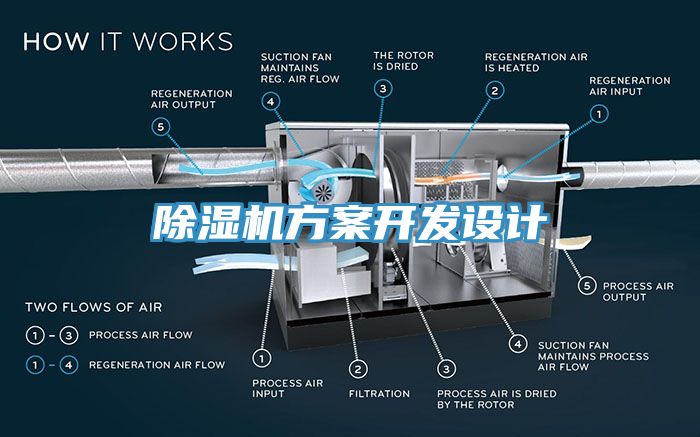 91香蕉视频下载网站方案开发设计