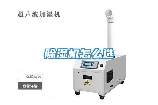 91香蕉视频下载网站怎么选